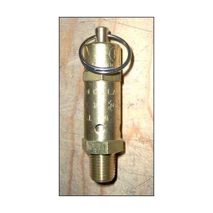 1/4 in 100psi safety valve